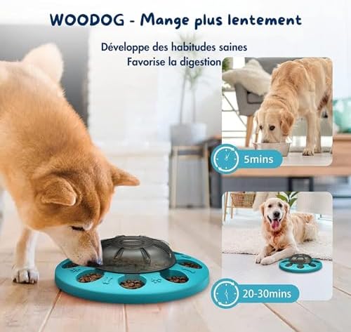 Vue 4 de Gamelle Chien Niveau Intermediaire