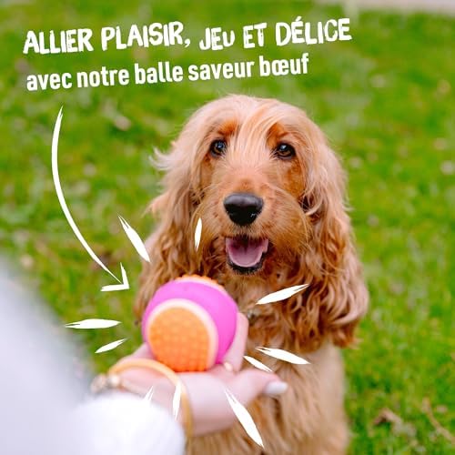 Vue 5 de Aime Balle Pour Chien