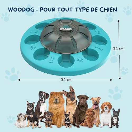 Vue 6 de Gamelle Chien Niveau Intermediaire