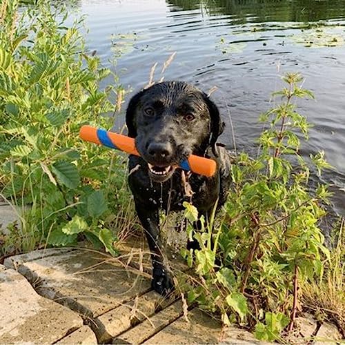 Vue 2 de Chuckit Ultra Fetch Stick