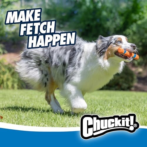 Vue 3 de Chuckit Ultra Fetch Stick