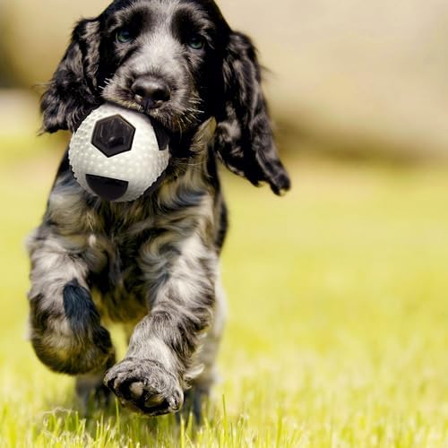 Vue 5 de Aime Jouet Pour Chien