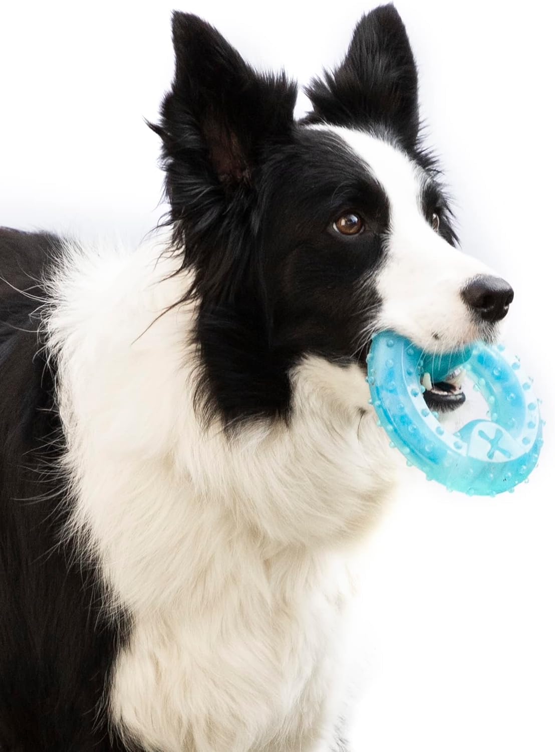 Innovagoods Jouet Mordre