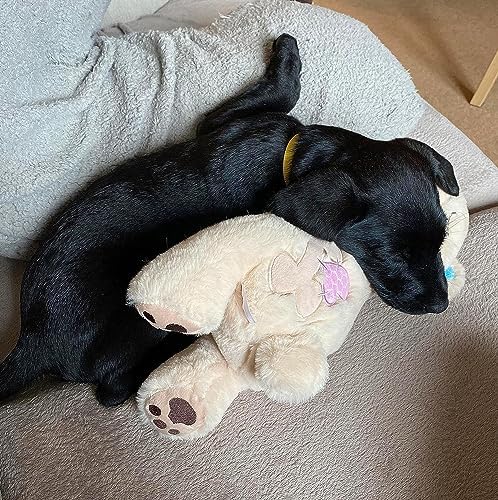 Vue 2 de Jouet De Battement De