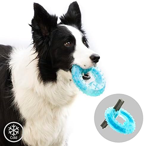 Vue 5 de Innovagoods Jouet Mordre