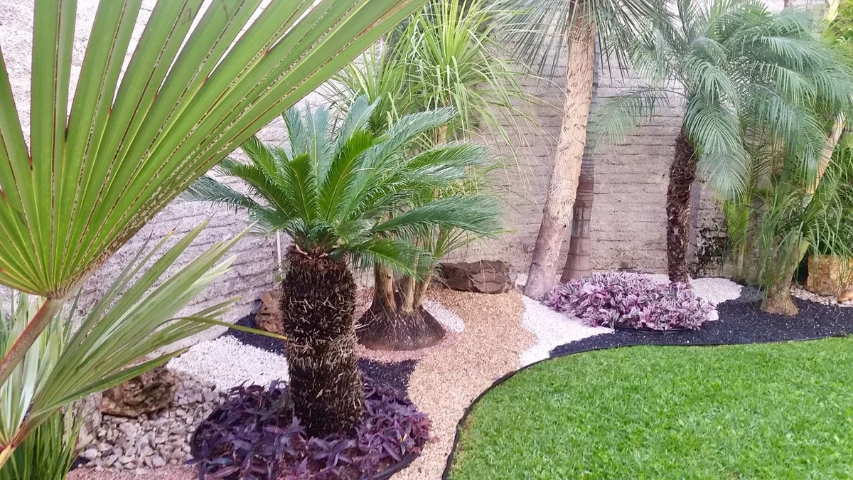 Diseño de Jardín Residencial Tropical en Sahuayo – Paisajismo Profesional - Imagen 2
