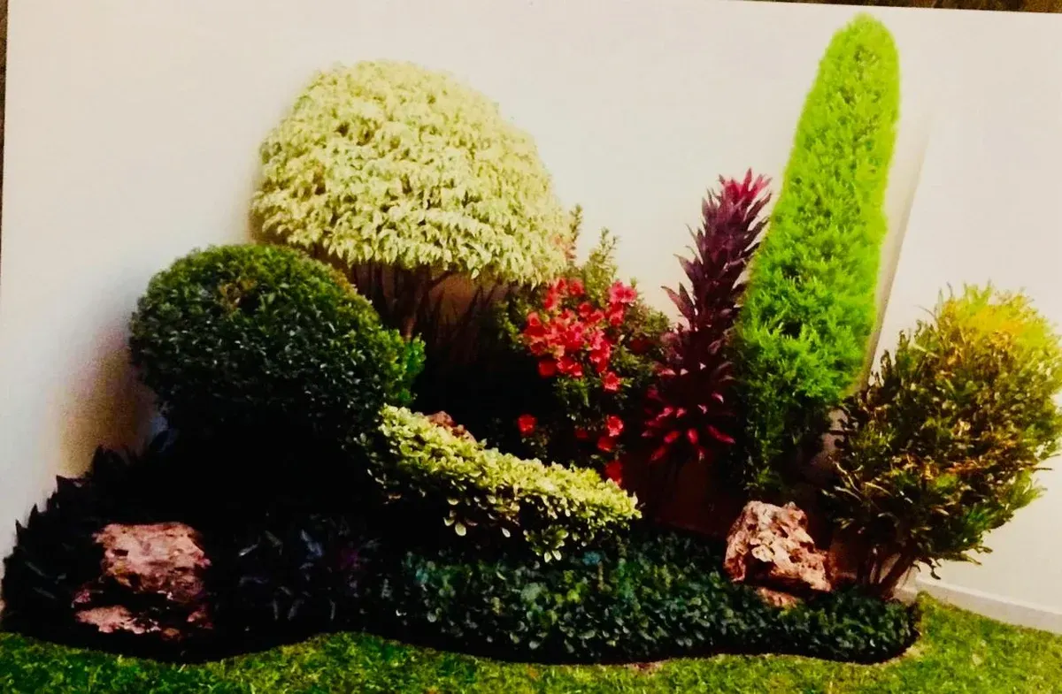 Diseño de Jardín Residencial Tropical en Sahuayo – Paisajismo Profesional - Imagen 3