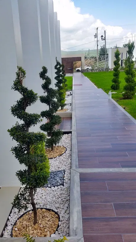 Diseño de Jardín Residencial Tropical en Sahuayo – Paisajismo Profesional - Imagen 5
