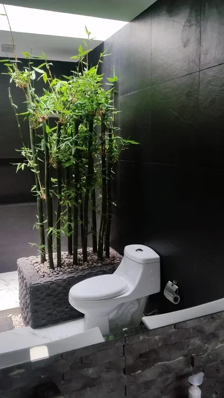 Diseño de Jardín Residencial Tropical en Sahuayo – Paisajismo Profesional - Imagen 7