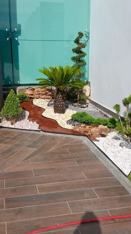 Diseño de Jardín Residencial Tropical en Sahuayo – Paisajismo Profesional - Imagen 8