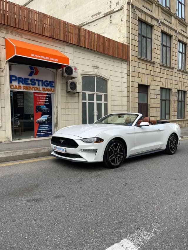 2022 Ford Mustang, exterior