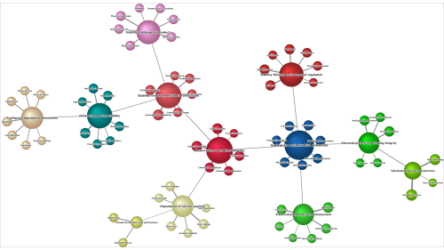 Webinar: Harnessing Hellixia: Innovations in Bayesian Belief Network Construction