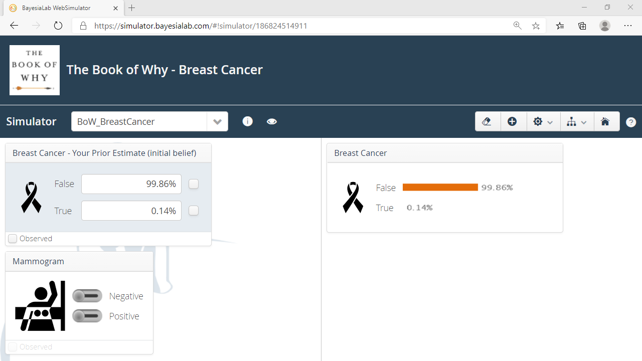 Breast Cancer WebSimulator interface