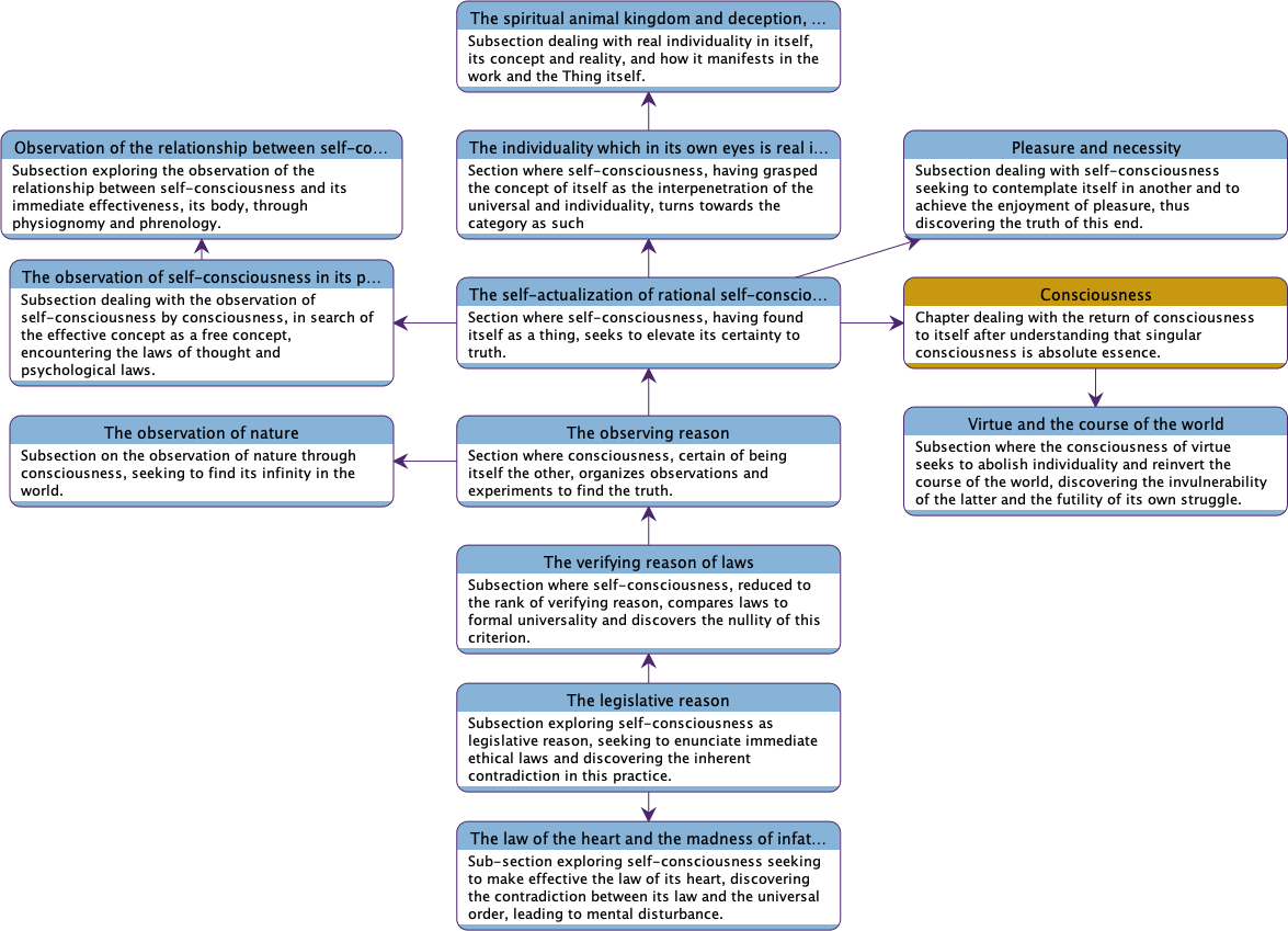 Semantic Network on the Sections and Subsections of the Chapter