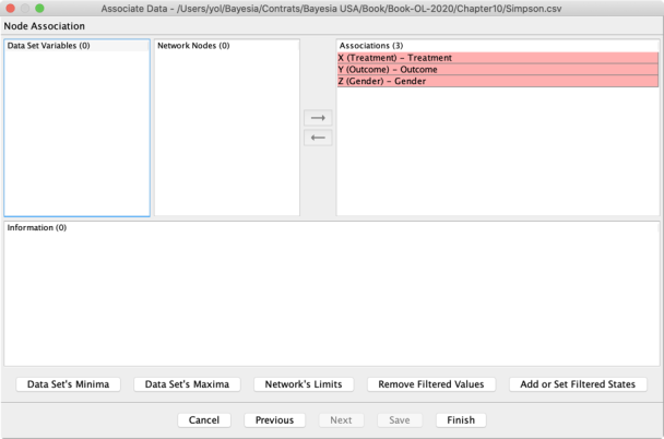 Associate Data Wizard column-association summary