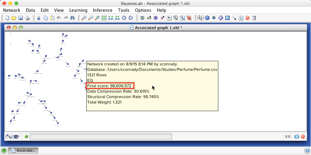 Network tooltip listing the learning run, with the final score of 98,606.572 outlined in red