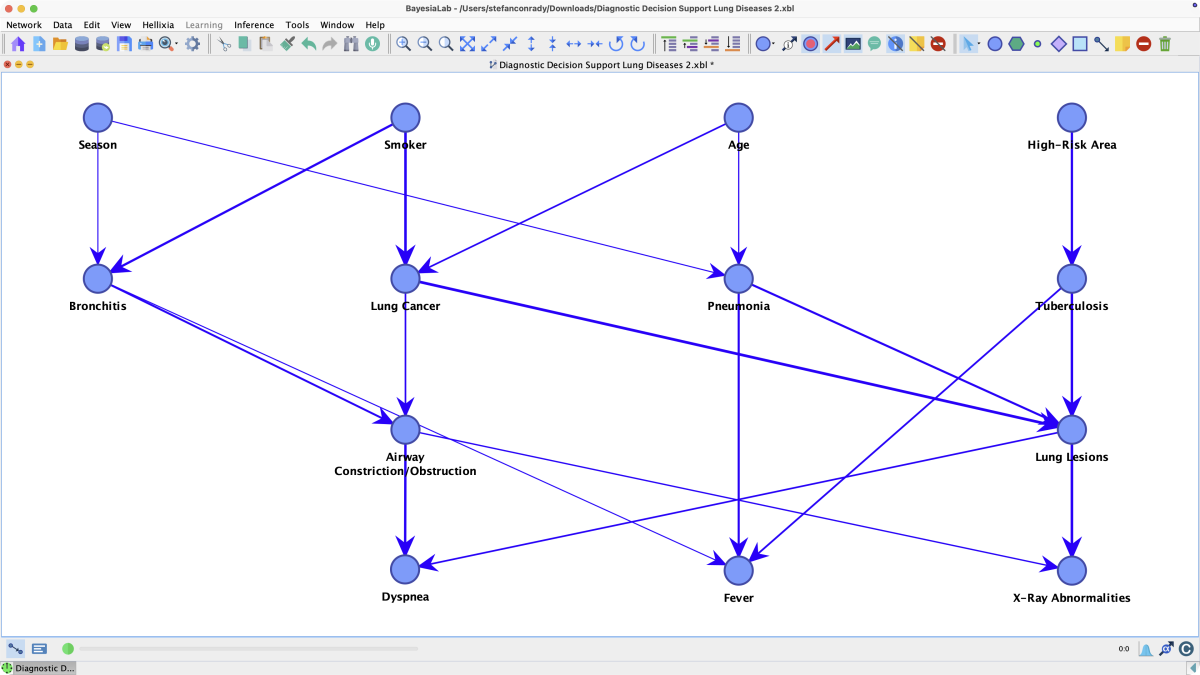 Bayesian network after running Causal Relationship Finder, with generated causal arcs between lung-disease nodes