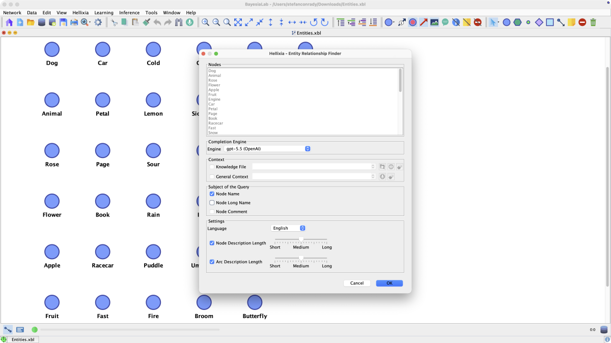 Hellixia Entity Relationship Finder dialog showing the node list, completion engine, query subject, and node and arc description length settings