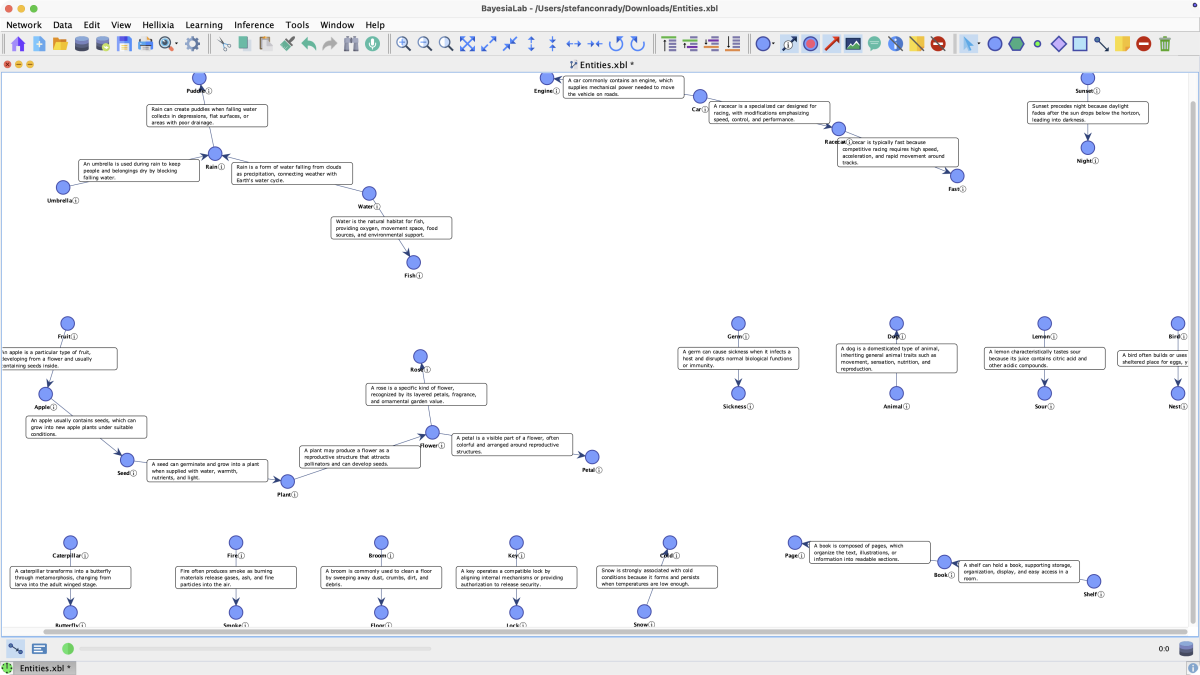 BayesiaLab network produced by the Entity Relationship Finder, with entity nodes linked by arcs and notes describing each relationship