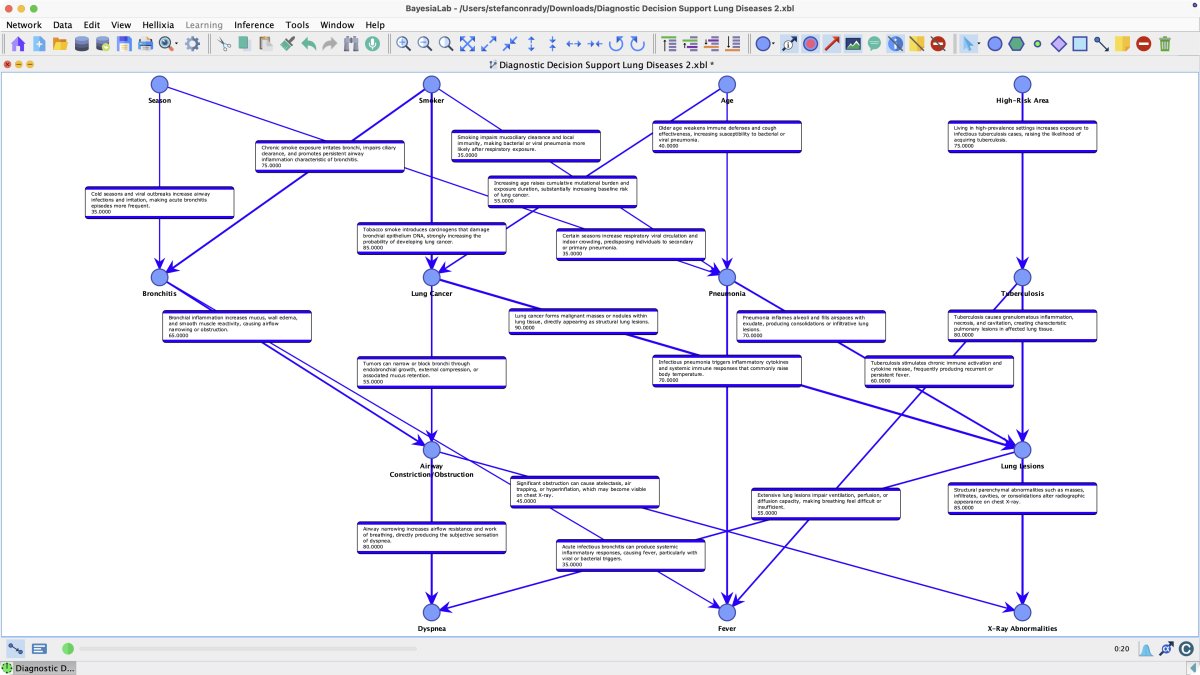 Network generated by the Causal Relationship Finder for a lung disease diagnostic model, with comment boxes describing each causal relationship and its confidence score