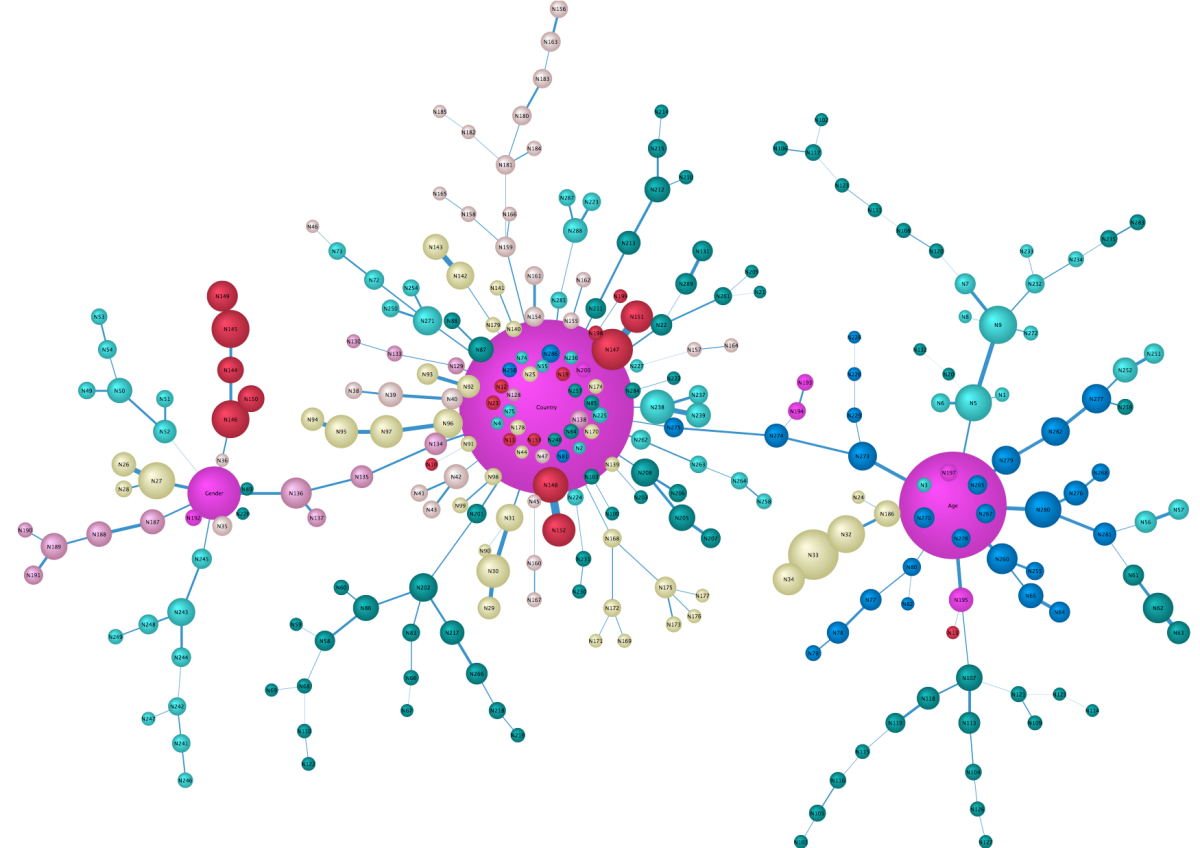 Network with the most important nodes (Country, Age, Gender) sized by Node Force