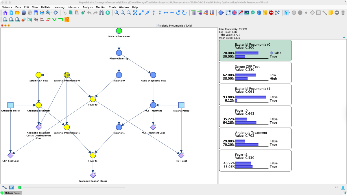 Decision Support With BayesiaLab