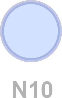 N10