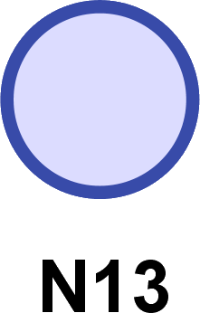 N13