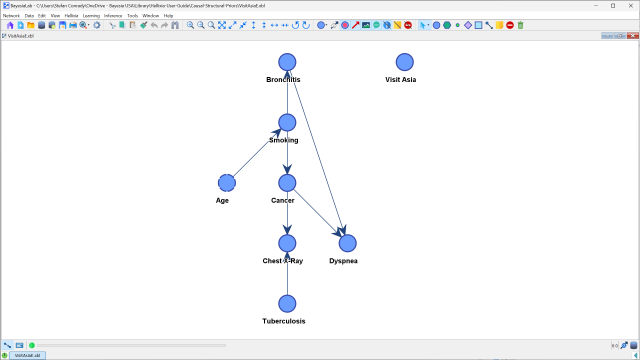 Network with the associated arcs from the Structural Priors