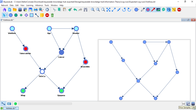 Prior knowledge structure used to generate the virtual samples