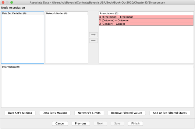 Associate Data Wizard column-association summary
