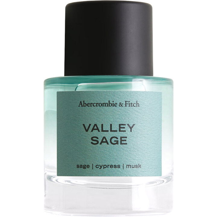 Abercrombie & Fitch Valley Sage