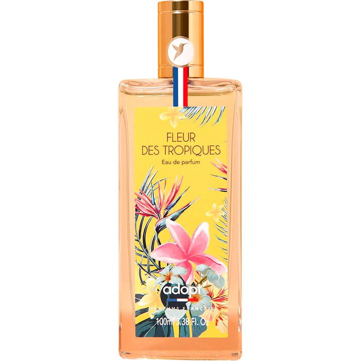Fleur des Tropiques