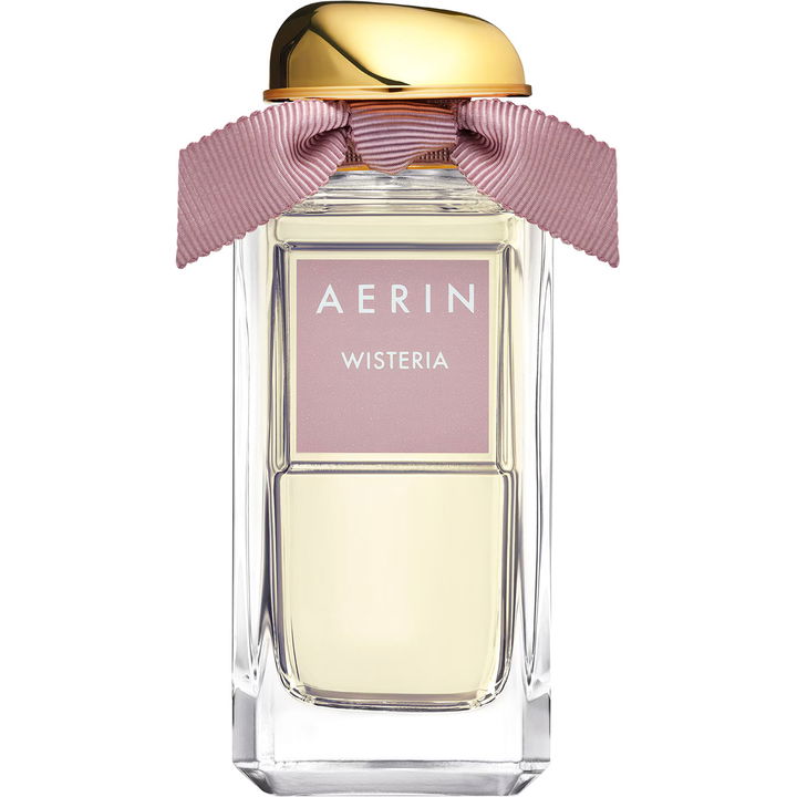 Aerin Wisteria