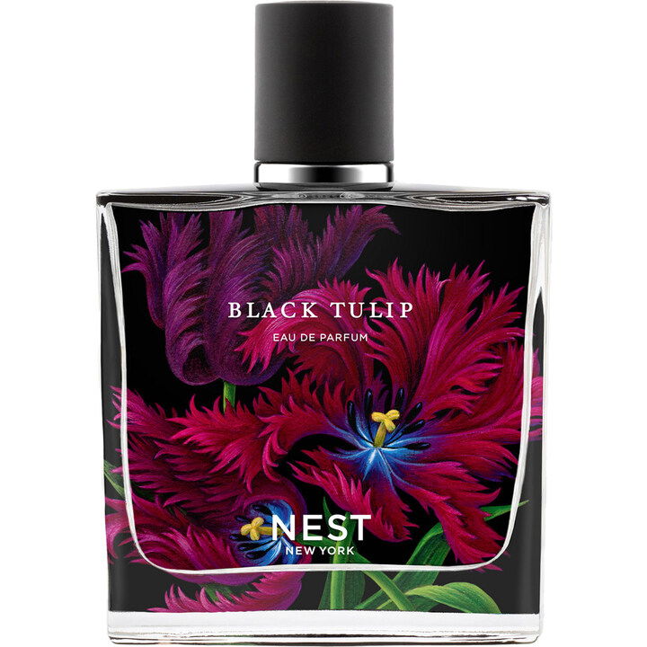 Black Tulip