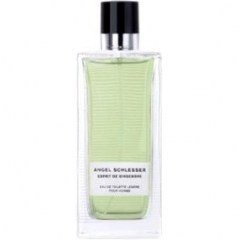 Esprit de Gingembre pour Homme