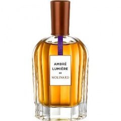 Ambré Lumière
