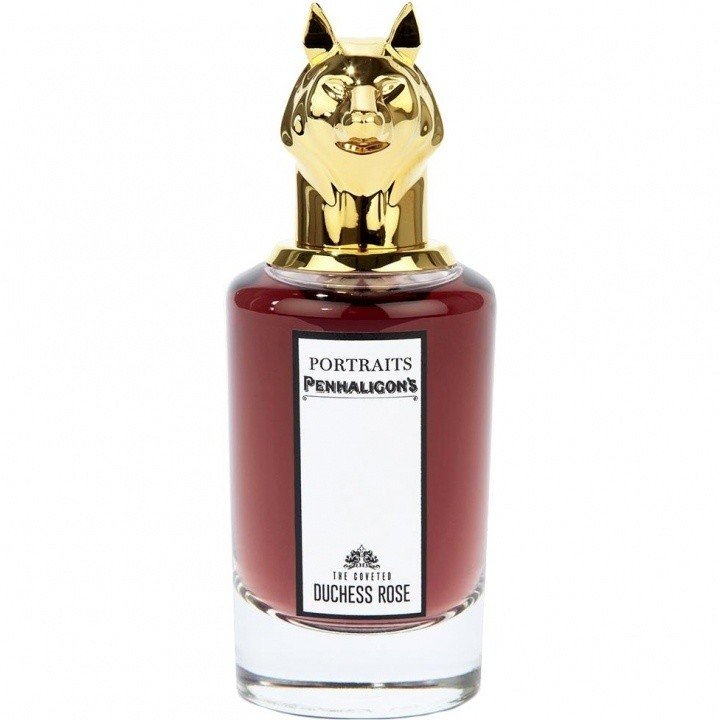 The Coveted Duchess Rose
