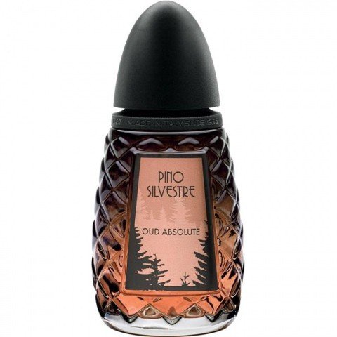 Pino Silvestre Oud Absolute