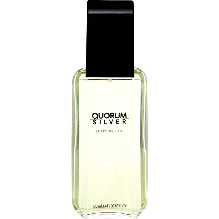 Quorum Silver EAU DE TOILETTE