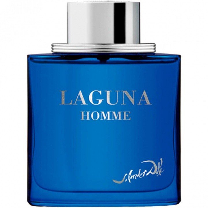 Salvador Dali Laguna Homme EAU DE TOILETTE