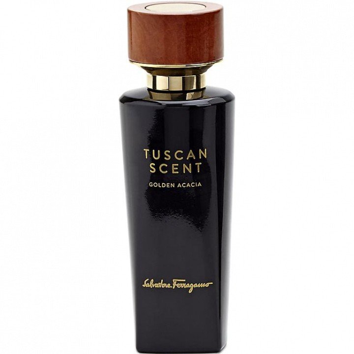 Golden Acacia