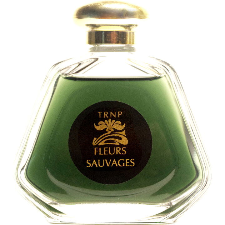 Teone Reinthal Natural Perfume Fleurs Sauvages (2021)