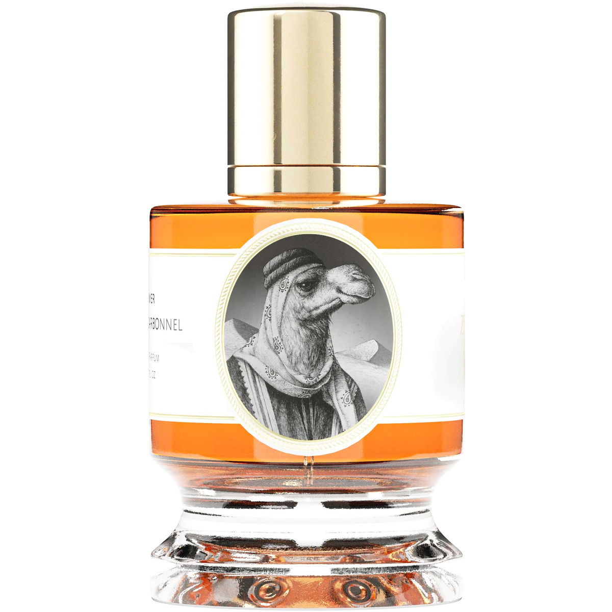 Camel