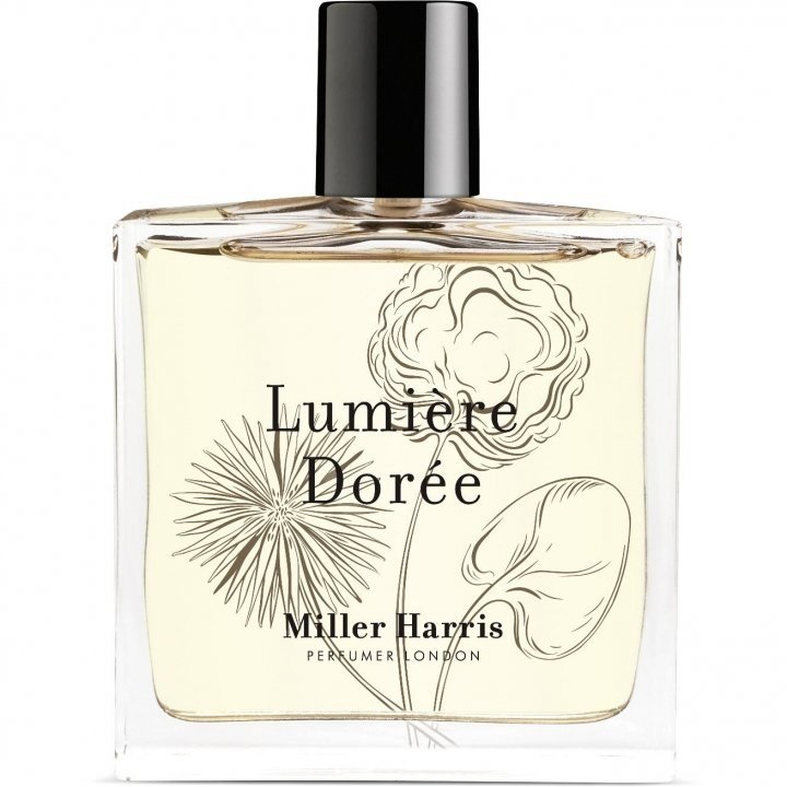 Lumière Dorée