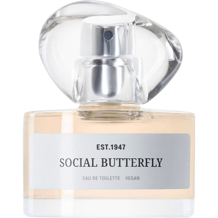 H&M Social Butterfly