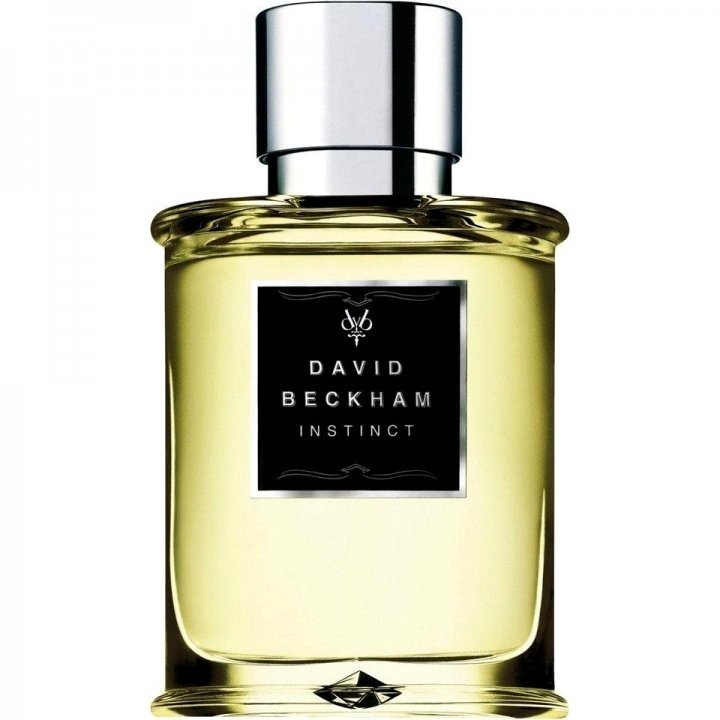 David Beckham Instinct EAU DE TOILETTE Perfume Bottle