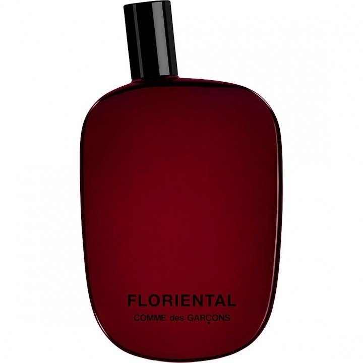 Comme des Garçons Floriental