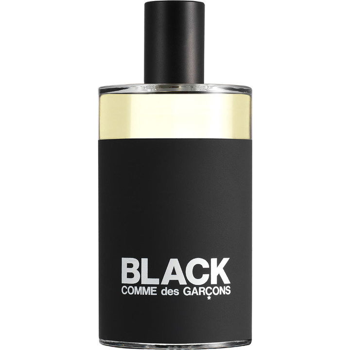 Comme des Garçons Black Comme des Garçons Perfume Bottle