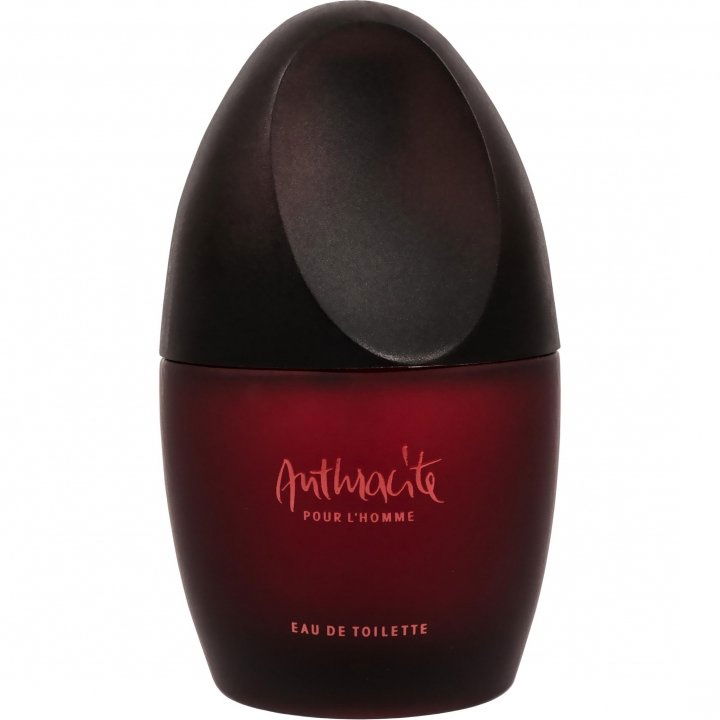 Anthracite pour l'Homme EAU DE TOILETTE
